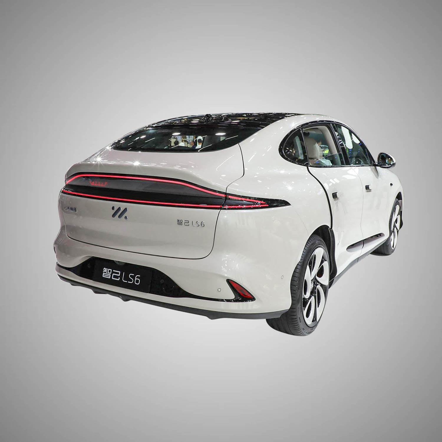 IM LS6