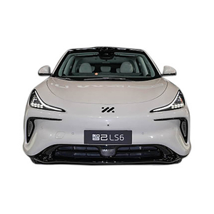 IM LS6