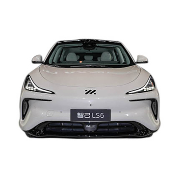 IM LS6