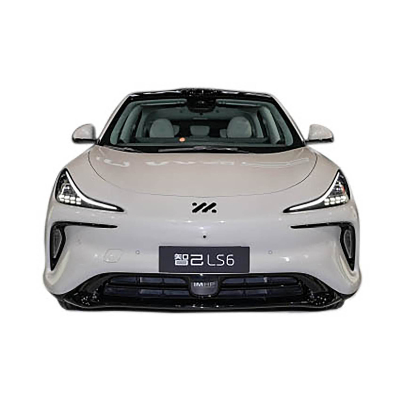 IM LS6
