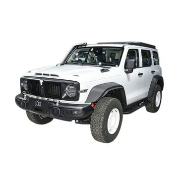 WEY 300