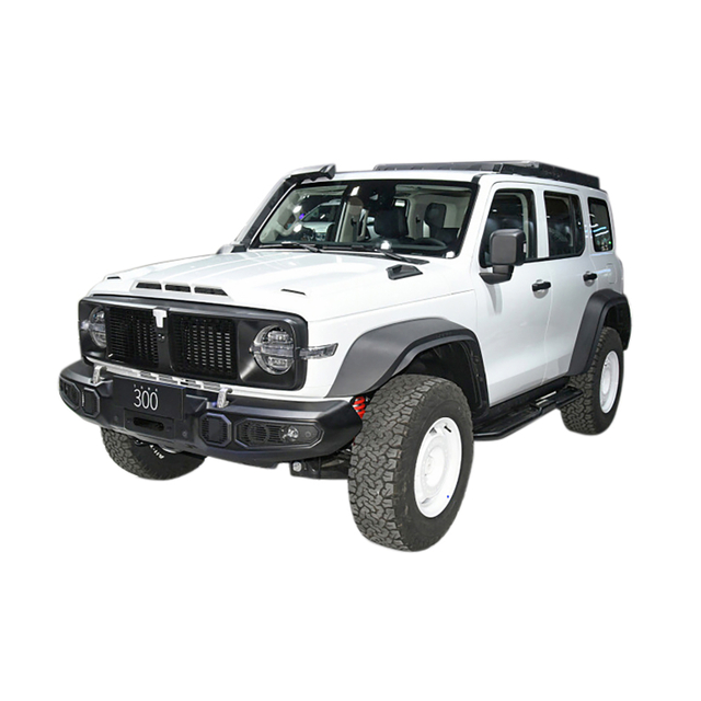 Вей 300