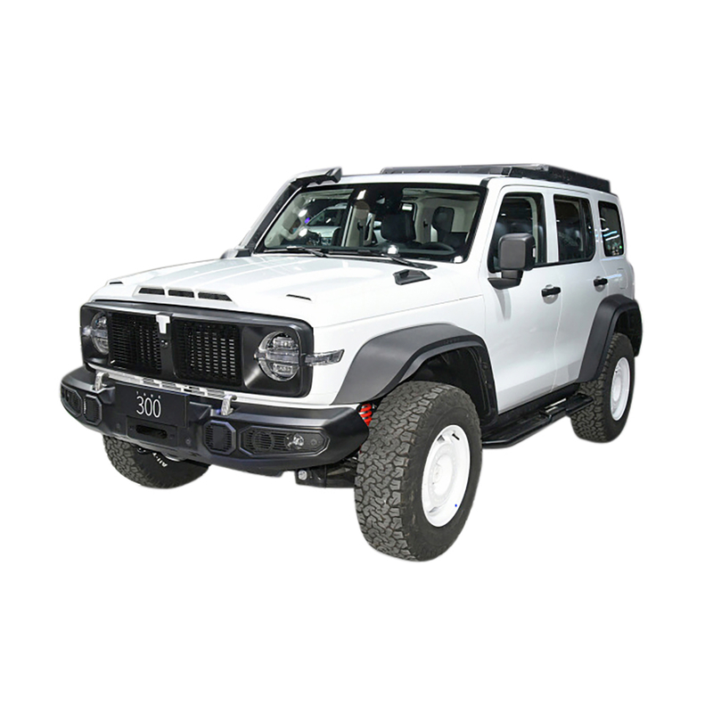 WEY 300