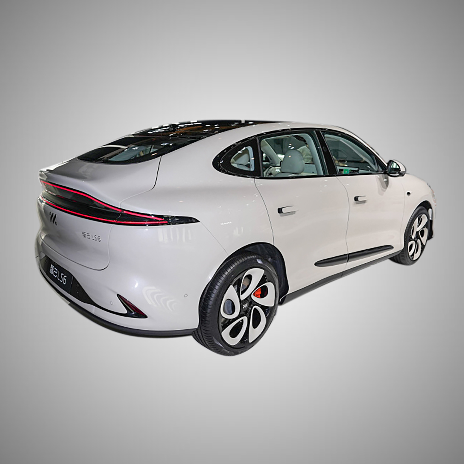 IM LS6