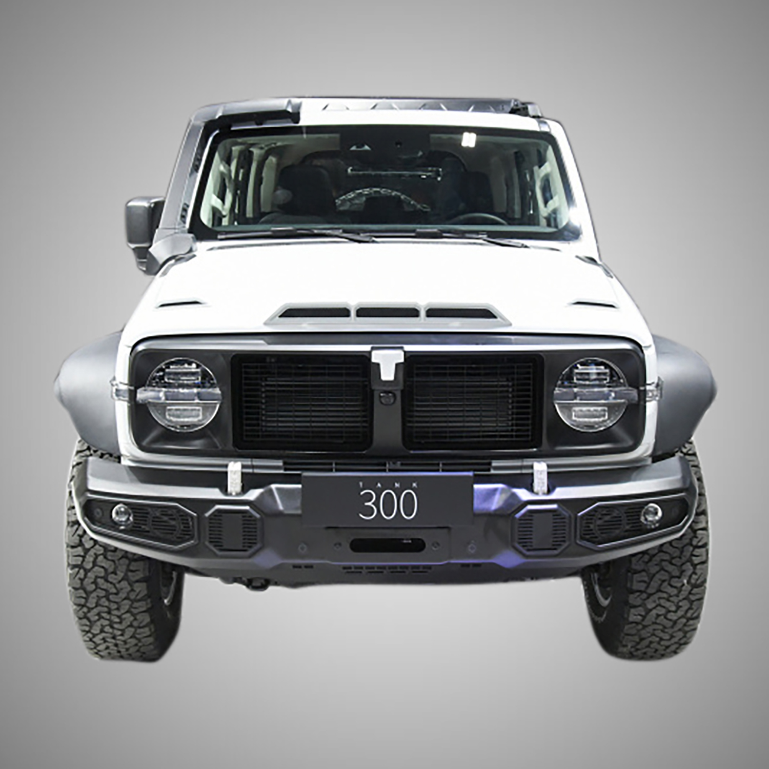 WEY 300